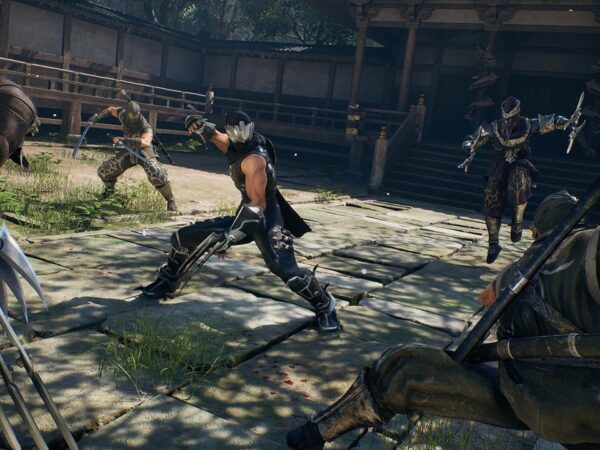 Detailed Review of the Enhanced Edition of NINJA GAIDEN 2 Black